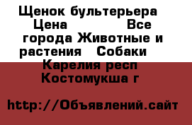 Щенок бультерьера › Цена ­ 35 000 - Все города Животные и растения » Собаки   . Карелия респ.,Костомукша г.